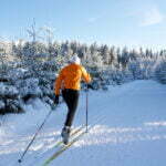 Vilka är de bästa skinskidorna? - Vallningsfria klassiska längdskidor