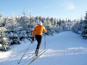 Vilka är de bästa skinskidorna? - Vallningsfria klassiska längdskidor