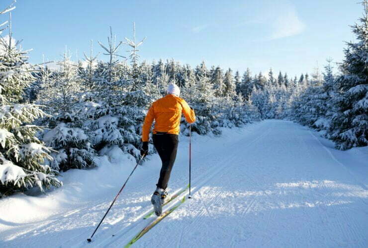 Vilka är de bästa skinskidorna? - Vallningsfria klassiska längdskidor