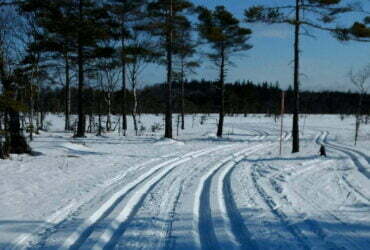 Längdskidor - Längdskidlopp i södra Sverige