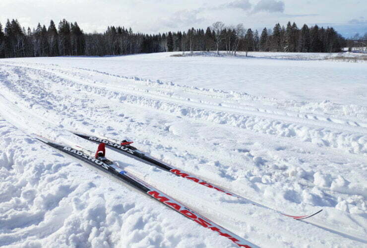 Stålsicklade längdskidor